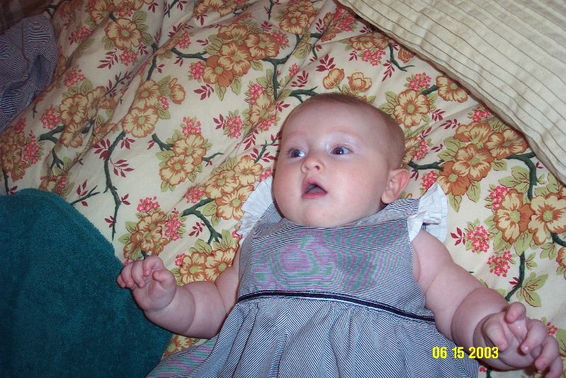 Picture 069