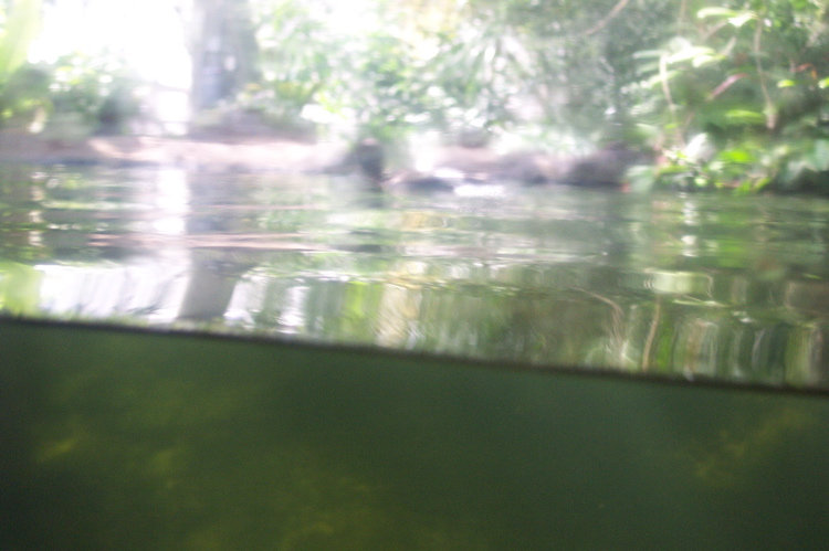 DCP_3439