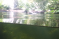 DCP_3439