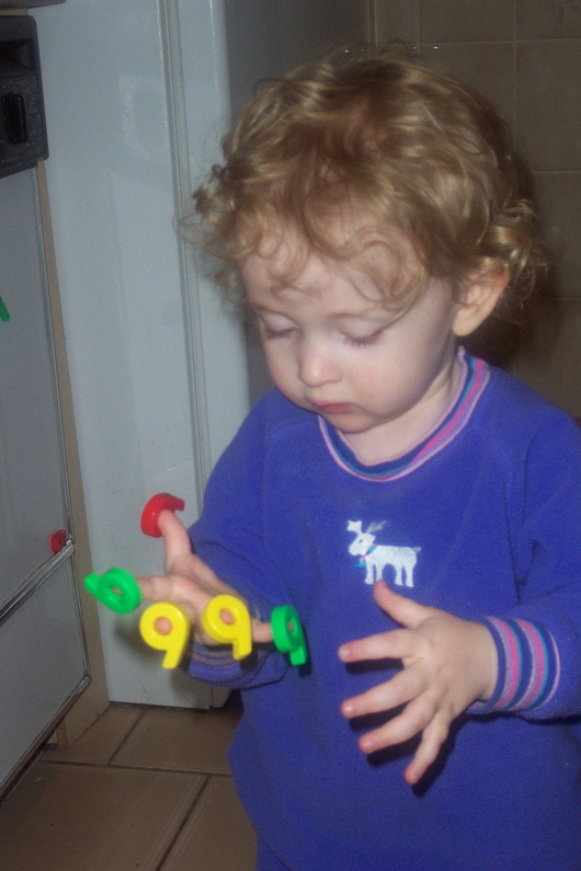 DCP_2007