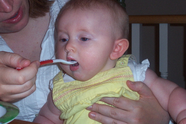 DCP_0206.JPG