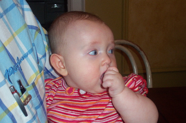 DCP_0232.JPG
