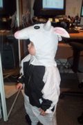 DCP_4159